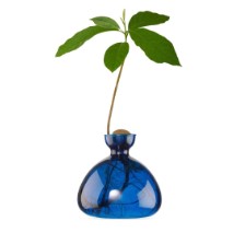 Avocado Vase
