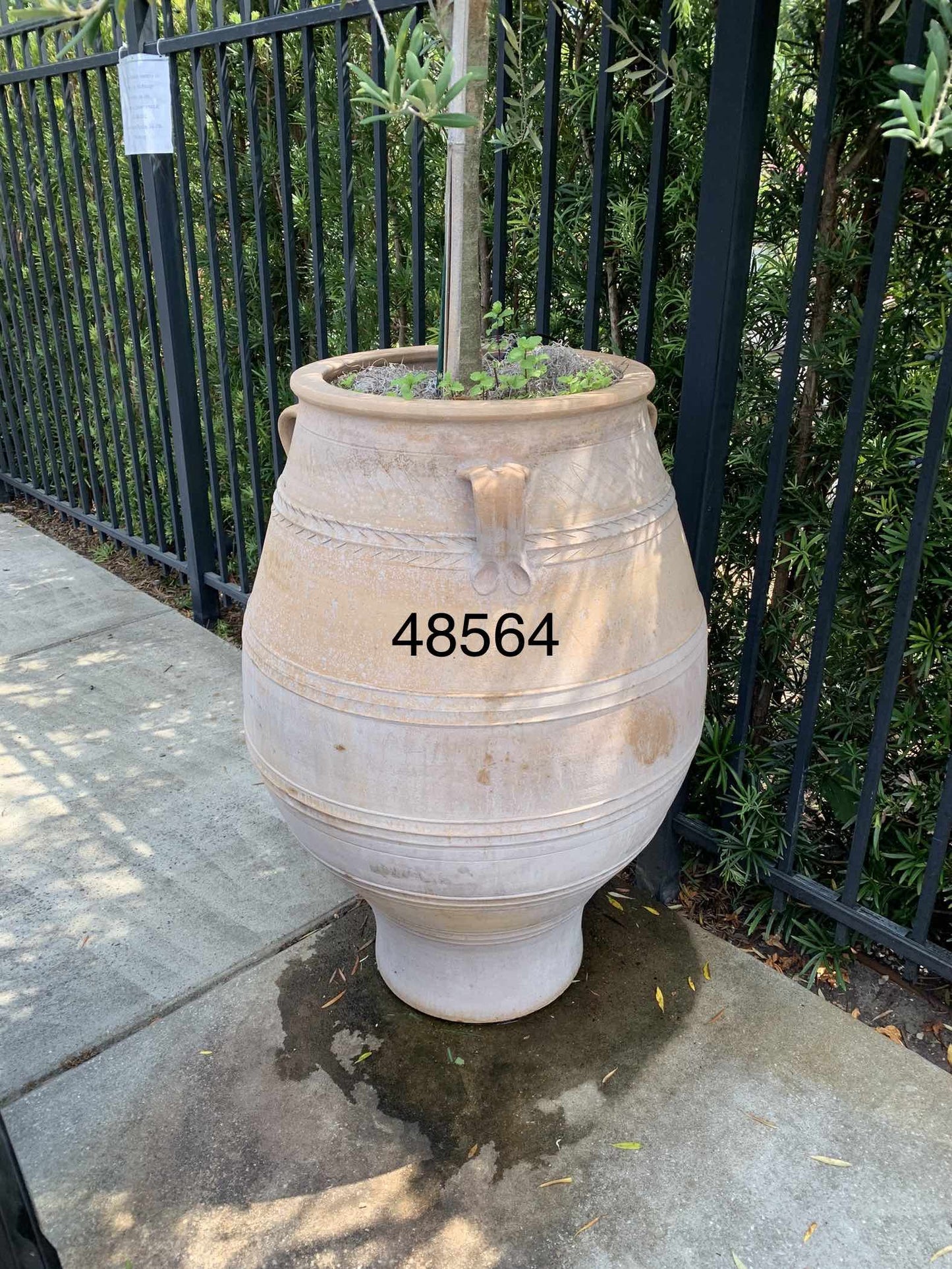 Vintage Pithari Terracotta Jar