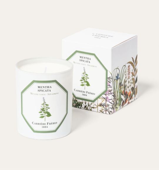 Iconic Candle