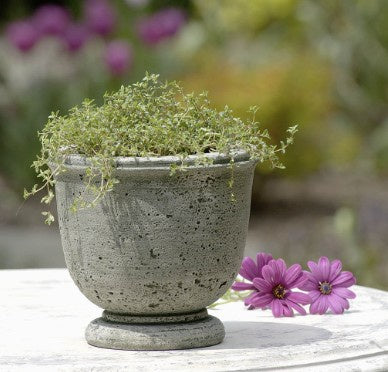 Arles Planter