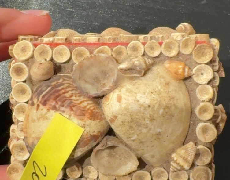 Vintage Shell Box