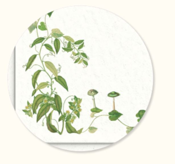 Selva Stationery Collection