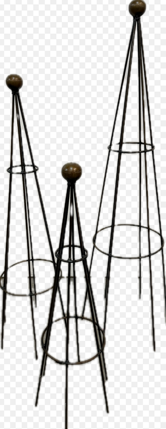 Iron Cone Garden Obelisk
