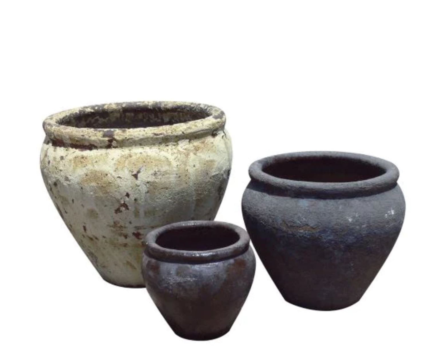 Rolled Rim Tulip Planter