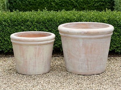 Celia Planter