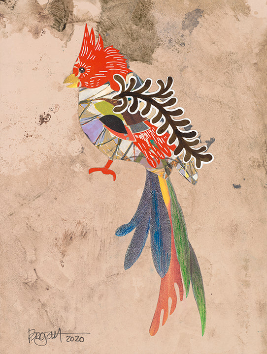Framed Archival Bird Print by Brenda Bogart