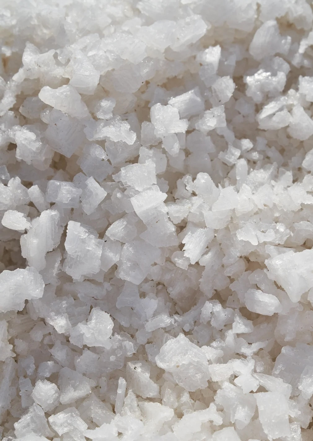 Alimentari Sicilian Sea Salt, Coarse