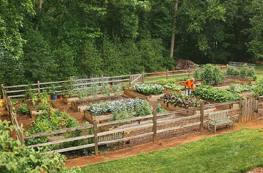 Garden Planting Fee (confirm planting area is prepared prior to purchase)