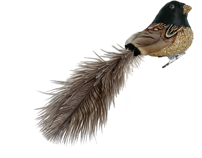 Feather Bird w/ Glitter Body & Ostrich Tail