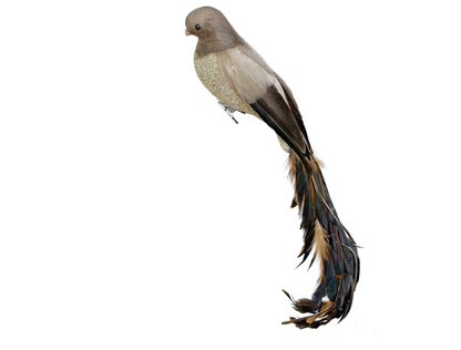 Feather Bird w/ Glitter Body & Ostrich Tail